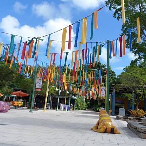 Amazon and Beyond Entery Plaza