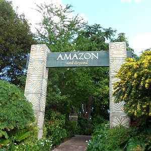 Amazon Sign