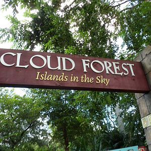 Cloud Forest Sign