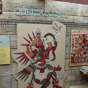 Amazon and Beyond Reptile House