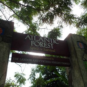 Atlantic Forest Sign