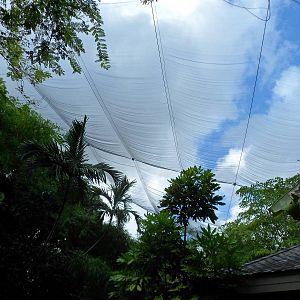 Wings of Asia Aviary