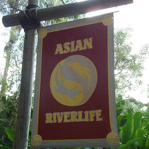 Asian Riverlife Sign