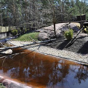 New red panda enclosure