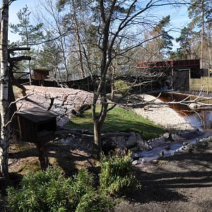 New red panda enclosure