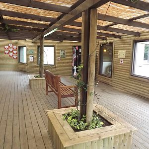 Big cat interior at Blackpool Zoo 21/04/12