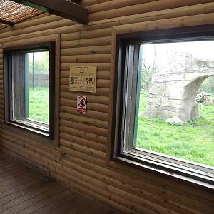Lion viewing windows at Blackpool Zoo 21/04/12