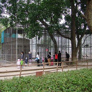 Binturong Exhibit at Hanoi Zoo, 15/03/12
