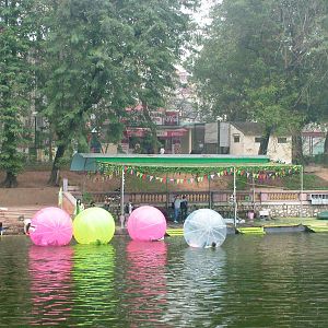 Water Walking at Hanoi Zoo, 15/03/12