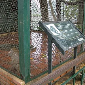 Macaque Exhibit at Hanoi Zoo, 15/03/12