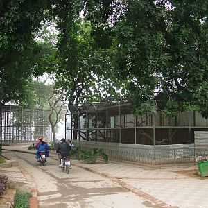 Small Carnivore Exhibits at Hanoi Zoo, 15/03/12