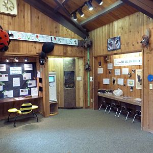 Cheney Family Discovery Center