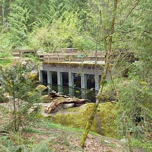 Beaver Exhibit - View From Pathway