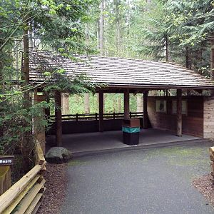 Black Bear Exhibit - Viewing Shelter