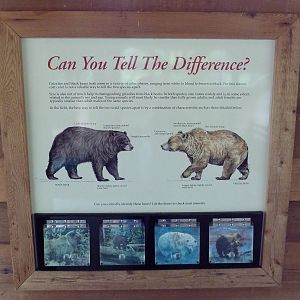 Black Bear Exhibit - Signage