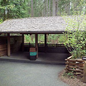 Grizzly Bear Exhibit - Viewing Shelter