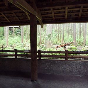 Grizzly Bear Exhibit