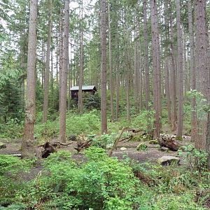 Grizzly Bear Exhibit