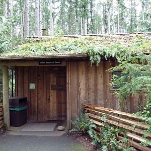 Gray Wolf Exhibit - Baker Research Cabin