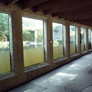 Beaver Exhibit - Underwater Viewing + Den