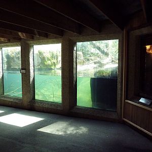 River Otter Exhibit - Underwater Viewing + Den