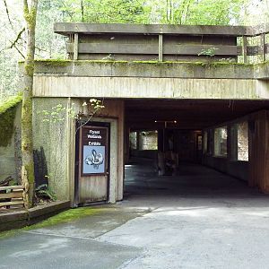 Forest + Wetlands Exhibits - Entrance