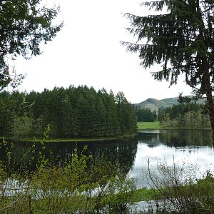 435-Acre Enclosure - Tram Tour