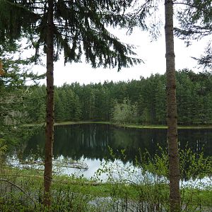 435-Acre Enclosure - Tram Tour