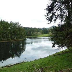 435-Acre Enclosure - Tram Tour