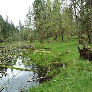 435-Acre Enclosure - Tram Tour