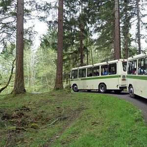 435-Acre Enclosure - Tram Tour