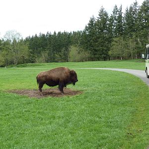 435-Acre Enclosure - Tram Tour