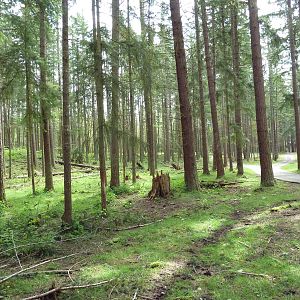 435-Acre Enclosure - Tram Tour