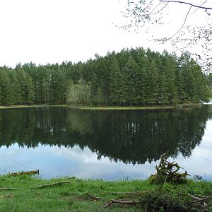 435-Acre Enclosure - Tram Tour