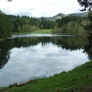 435-Acre Enclosure - Tram Tour