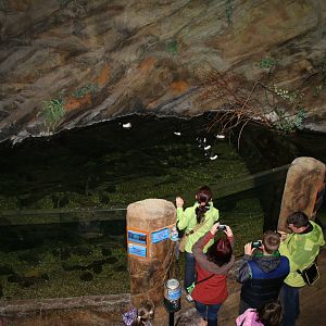 Southern Streams exhibit