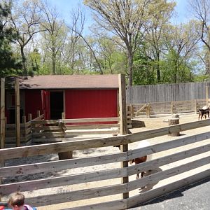 Left Side of the new Farmland Contact Yard