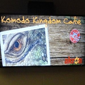 New Electronic Screen at Komodo Kingdom Cafe