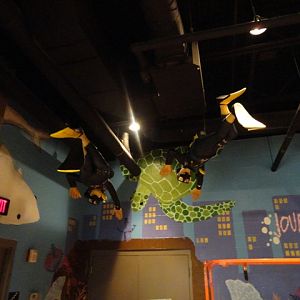 Divers Above the Journey to the Reef Entrance