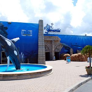Exhibits at the Aquarium