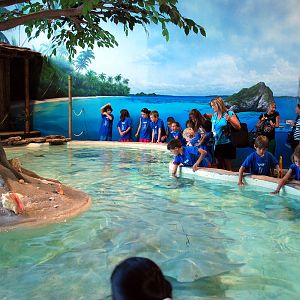 Exhibits at the Aquarium