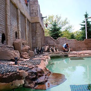 Exhibits at the Aquarium