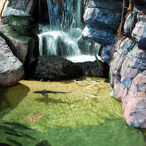 Exhibits at the Aquarium