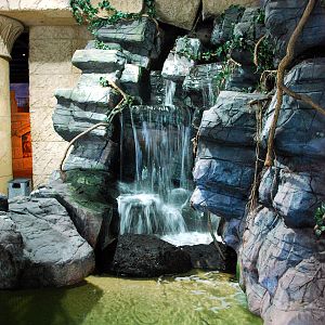 Exhibits at the Aquarium