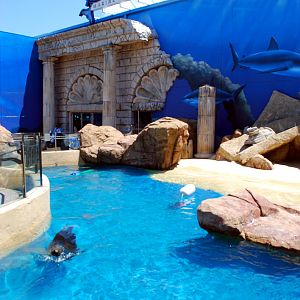 Exhibits at the Aquarium