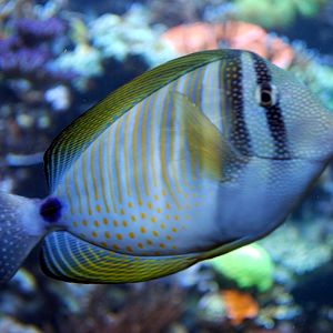 Exhibits at the Aquarium