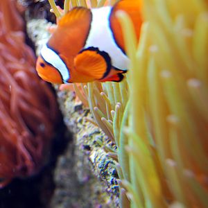 Exhibits at the Aquarium