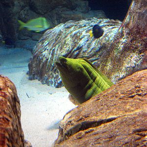 Exhibits at the Aquarium