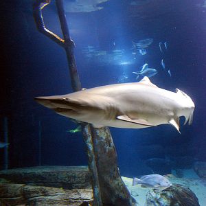 Exhibits at the Aquarium