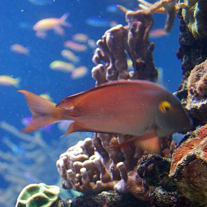 Exhibits at the Aquarium